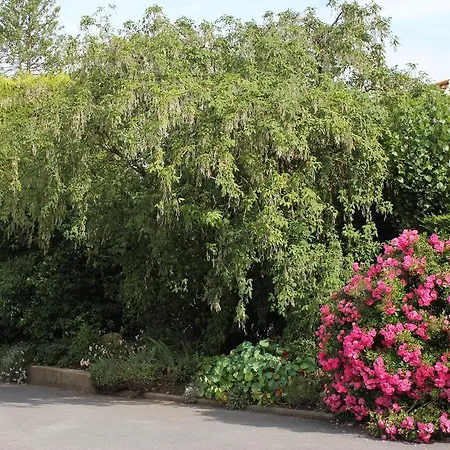 Σπίτι διακοπών Les Lilas Offrethun